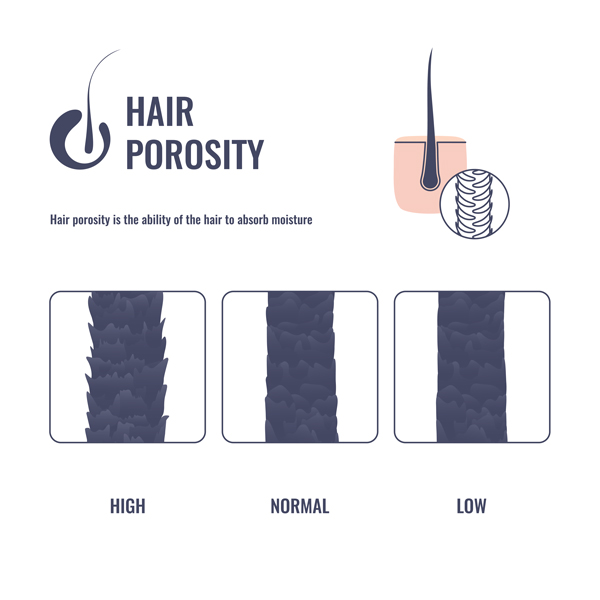 hairdressers specialising in curly hair in Lewisham and London hair porosity diagram